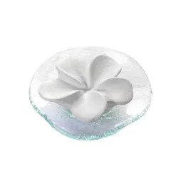 DUFTSTEIN Frangipani Glasteller Transparant, 1 st