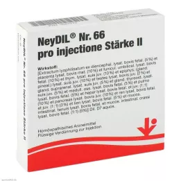 NEYDIL No.66 Pro Injectione st.2 Ampoules, 5x2 ml