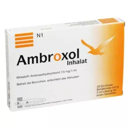 AMBROXOL Inhalatieoplossing voor een vernevelaar, 20X2 ml