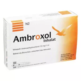 AMBROXOL Inhalatieoplossing voor een vernevelaar, 50X2 ml