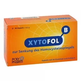 XYTO Fol B-capsules, 90 st
