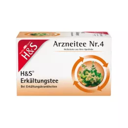 H&S Koude thee V filterzakjes, 20X2.0 g