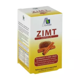 ZIMT KAPSELN 500 mg+Vitamine C+E, 120 stuks