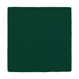 MULLKOMPRESSEN 10x10 cm 12-voudig groen, 100 st