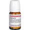 Agaricus D 8, 80 st