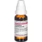 CEANOTHUS AMERICANUS D 3 Verdunning, 20 ml