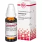 EUPHORBIUM D 12 Verdunning, 20 ml
