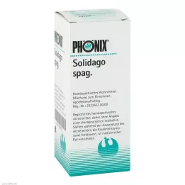 PHÖNIX SOLIDAGO spag.mengsel, 100 ml