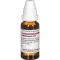 MANDRAGORA D 12 Verdunning, 20 ml