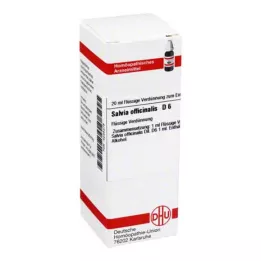 SALVIA OFFICINALIS D 6 Verdunning, 20 ml