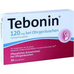 TEBONIN 120 mg voor oorsuizen filmomhulde tabletten, 30 st