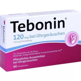 TEBONIN 120 mg filmomhulde tabletten voor oorsuizen, 60 |2| stuks |2|