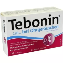 TEBONIN 120 mg filmomhulde tabletten voor oorsuizen, 120 st