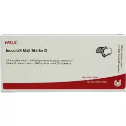 ISCUCIN Mali Sterkte G Ampoule, 10x1 ml