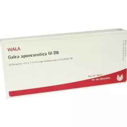 GALEA aponeurotica GL d 8 ampullen, 10x1 ml