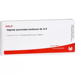 VAGINAE Synoviale tendinum GL D 8 ampullen, 10x1 ml