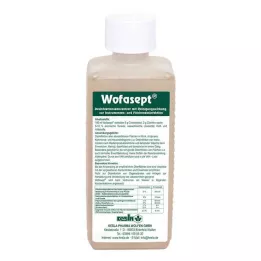 WOFASEPT Instrumenten- en oppervlaktedesinfectie, 250 ml