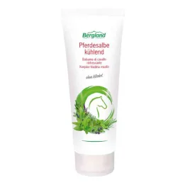 Verkoelende paardenzalf (100 ml)