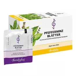 PFEFFERMINZBLÄTTER Theefilterzakjes, 20X1.5 g