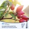 CH ALPHA Plus drinkampullen, 30 stuks