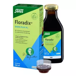 FLORADIX IJzer plus B12 veganistische tonic, 250 ml