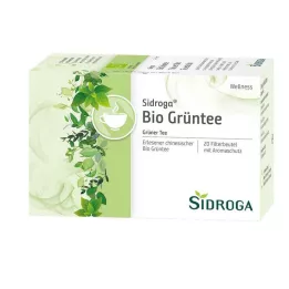 SIDROGA Wellness Groene Thee Filterzakjes, 20X1.7 g