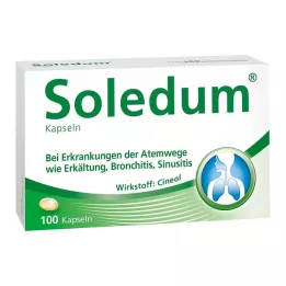 SOLEDUM 100 mg maagsapresistente capsules, 100 stuks