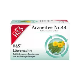 H&S Paardenbloemfilterzakken, 20X2,0 g