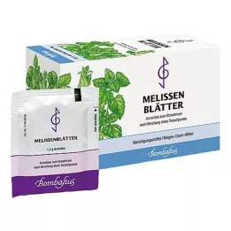 MELISSENBLÄTTER Theefilterzakjes, 20X1.5 g