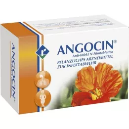 ANGOCIN Anti -infectie N Film -gecoate tabletten, 500 st