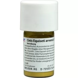 CINIS EQUISETI arvensis D 6 trituratie, 20 g