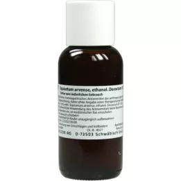 Equisetum Arven Ethanol Decocottum 10%, 100 ml