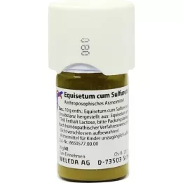 EQUISETUM CUM Zwavel Tostum D 1 Trituration, 20 g