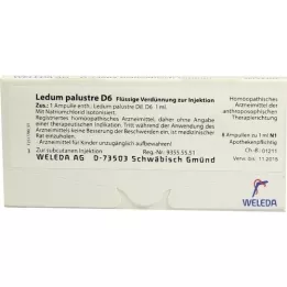 LEDUM PALUSTRE D 6 ampullen, 8 st