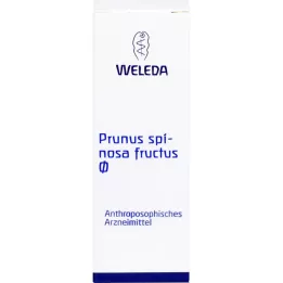 Prunus Spinosa Fructus Urtinctcture, 50 ml