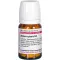ACTAEA SPIC D 4, 80 st