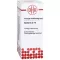 Berberis D10, 20 ml