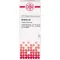BERBERIS D 5 Verdunning, 20 ml
