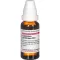 Eupatorium Perf D10, 20 ml