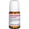 Foeniculum D 2, 80 st