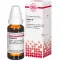 ZINGIBER Moedertinctuur, 20 ml