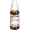 ZINGIBER Moedertinctuur, 20 ml