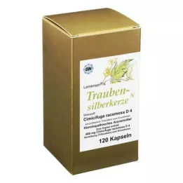 TRAUBENSILBERKERZE Kapseln, 120 st