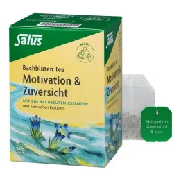 Bachbloesem Thee Motivatie &amp; Confidence Bio Salus, 15 st