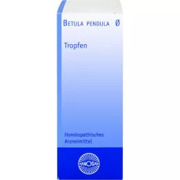 BETULA PENDULA Hanosan-moedertinctuur, 20 ml