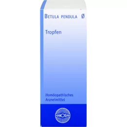 BETULA PENDULA Hanosan-moedertinctuur, 50 ml