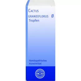 CACTUS GRANDIFLORUS Hanosan-moedertinctuur, 20 ml