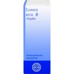 CLEMATIS RECTA Hanosan-moedertinctuur, 20 ml