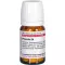 PROPOLIS D 4 tabletten, 80 uur