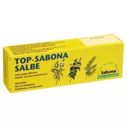 TOP-SABONA Room, 100 g
